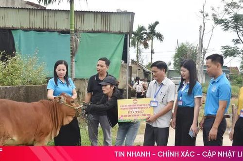 Lộc Hà trao bê giống, 'tiếp sức' cho các hộ khó khăn