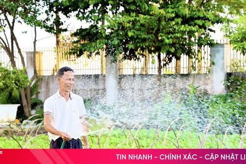 Giữ màu xanh trên những cánh đồng rau vụ đông