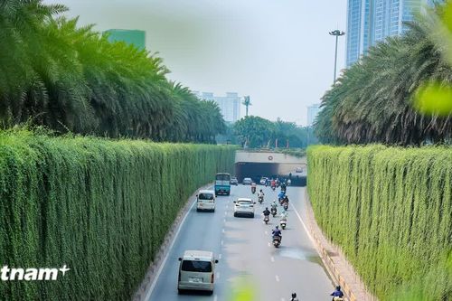 Hà Nội thí điểm tạo mảng xanh tại các khu vực trụ cầu, hầm chui