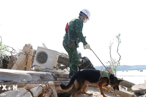 Quân đội Việt Nam-Lào-Campuchia: Sát cánh ứng phó các thách thức an ninh