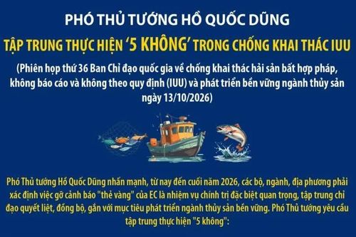 Tập trung thực hiện '5 không' trong chống khai thác IUU