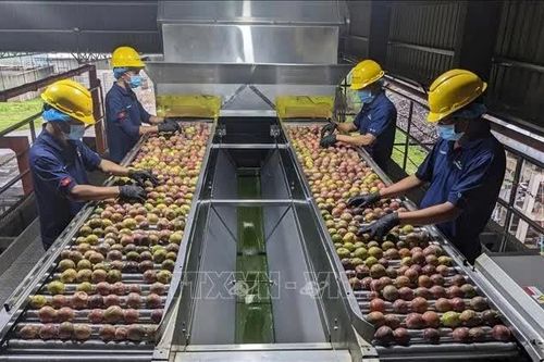 Tunisia đánh giá cao nhiều mặt hàng thế mạnh của Việt Nam