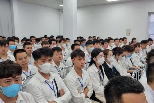 Minh bạch thông tin, nâng cao chất lượng lao động