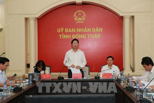 Đồng Tháp giảm 65,1% đầu mối trường học sau sắp xếp