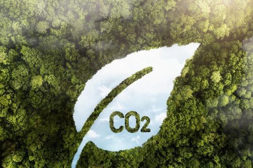 Vốn cho chuyển đổi xanh: Chờ sức bật từ thị trường carbon