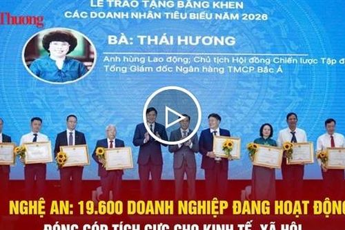 Nghệ An: 19.600 doanh nghiệp đang hoạt động, đóng góp tích cực cho kinh tế, xã hội