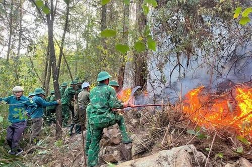 Đừng đốt thực bì, hãy biến cành cây thành năng lượng xanh