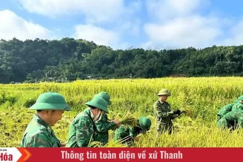 Màu xanh áo lính nơi mùa vàng Mường Mìn