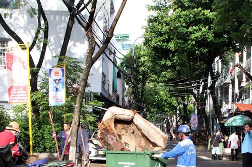 Ban Đô thị HĐND thành phố giám sát chuyên đề về công tác quản lý chất thải rắn
