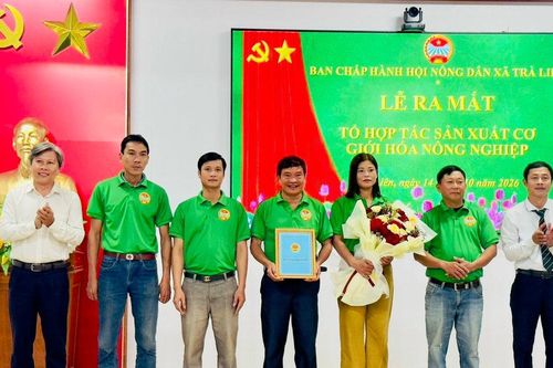Trà Liên ra mắt các tổ hội nghề nghiệp của nông dân