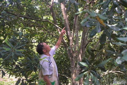 Tuần Giáo thu hút đầu tư, kiến tạo phát triển