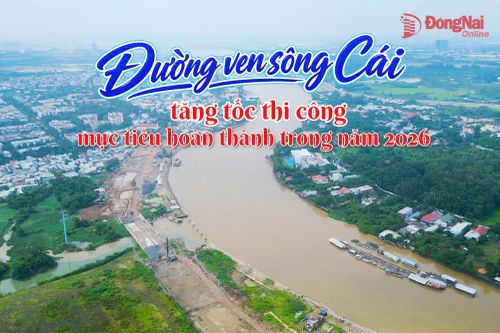 [Video] Đường ven sông Cái tăng tốc thi công, mục tiêu hoàn thành trong năm 2026