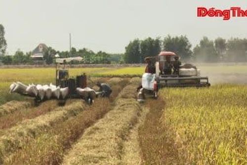 Trường Xuân thúc đẩy thực hiện các chỉ tiêu nhiệm vụ năm 2026