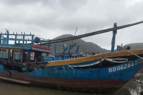 Gia Lai tăng cường hướng dẫn ngư dân khai thác hải sản an toàn, hiệu quả
