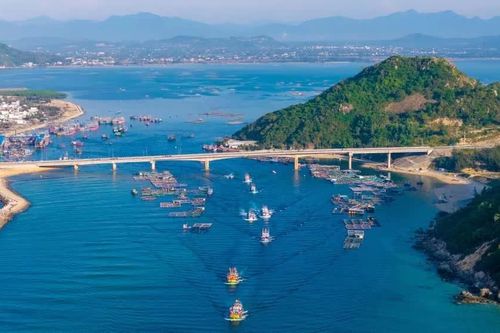 Gia Lai chấp thuận đầu tư Trung tâm thương mại - dịch vụ An Lương hơn 160 tỷ đồng