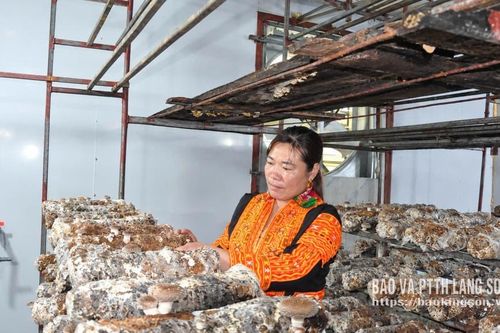 Kho tài sản từ sản vật