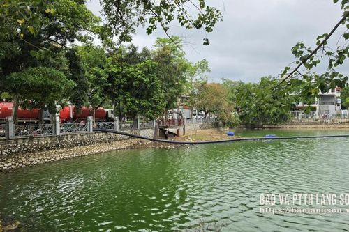Đưa môi trường xanh trở lại