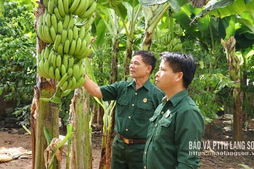 Tiếp sức hội viên phát triển kinh tế