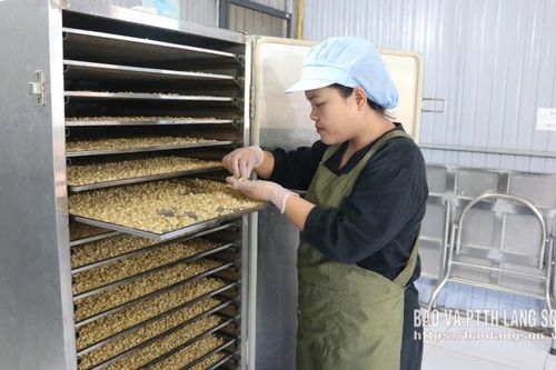 Từ ngô nếp cổ đến sản phẩm mới