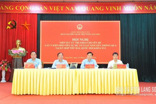 Đoàn đại biểu Quốc hội tỉnh lấy ý kiến đối với các dự án luật thuộc lĩnh vực văn hóa, thể thao và du lịch