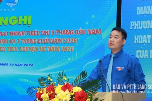 Tỉnh đoàn triển khai nhiệm vụ công tác đoàn, hội quý IV
