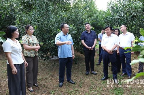 Kiểm tra, đôn đốc việc thực hiện Nghị quyết số 24 tại các xã khu vực Cao Lộc, Văn Lãng, Tràng Định