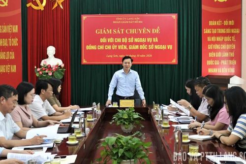 Đoàn Giám sát số 814 giám sát chuyên đề tại Chi bộ Sở Ngoại vụ