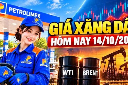 Giá xăng dầu hôm nay 14/10: Dầu thế giới duy trì vùng cao trước giờ điều chỉnh