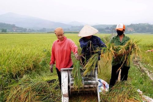 Thôn Sân Bay chuyển mình