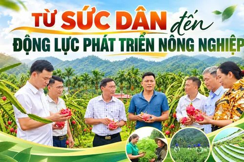 Từ sức dân đến động lực phát triển nông nghiệp