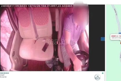 Lào Cai: Xử phạt hai tài xế xe khách 4,8 triệu đồng qua kiểm tra và camera giám sát
