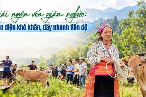 Giải ngân vốn giảm nghèo: Nhận diện khó khăn, đẩy nhanh tiến độ
