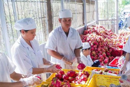 Phát huy vai trò hợp tác xã trong tái cơ cấu nông nghiệp