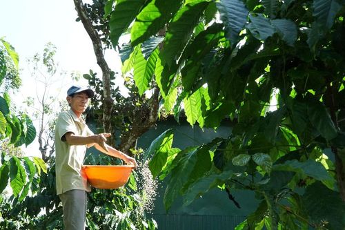 Siết quản lý vật tư, giữ chất lượng nông sản