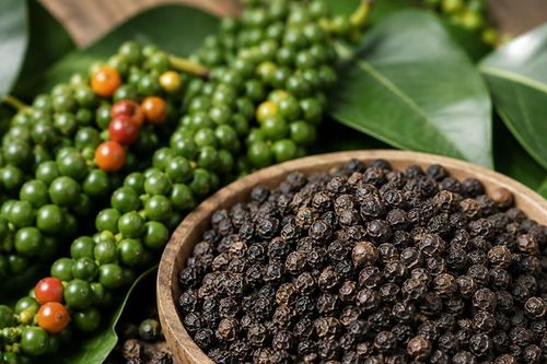 Giá tiêu hôm nay 14/10/2026: 5 khu vực cùng tăng, giá cao nhất tới 140.500 đồng/kg