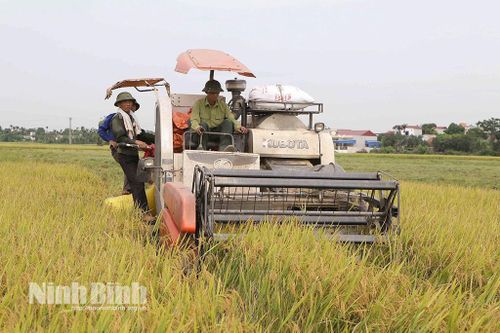 Từ cánh đồng mẫu lớn đến sản xuất hiện đại