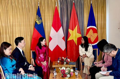 Ninh Bình tăng cường kết nối, thúc đẩy hợp tác với các đối tác Thụy Sĩ