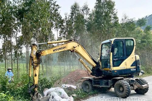 Lập Thạch xử lý vụ vứt 18 con lợn chết ra môi trường