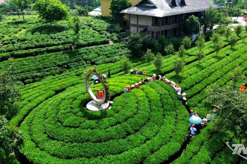 Đẩy mạnh quảng bá, tôn vinh sản phẩm OCOP tiêu biểu
