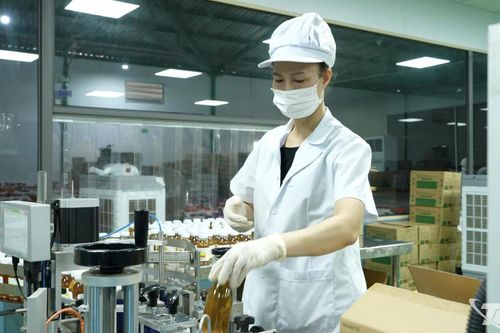 Chế biến sâu, nâng giá trị chè Thái