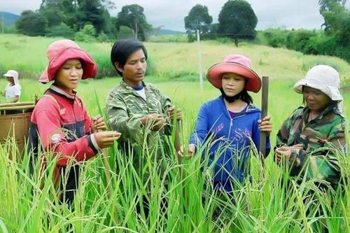 Phân cấp mạnh, đưa nguồn lực Chương trình mục tiêu quốc gia đến gần người dân
