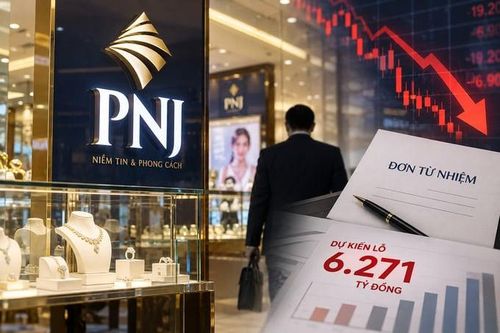 Thành viên HĐQT PNJ xin từ nhiệm, doanh nghiệp dự kiến lỗ gần 6.300 tỷ đồng