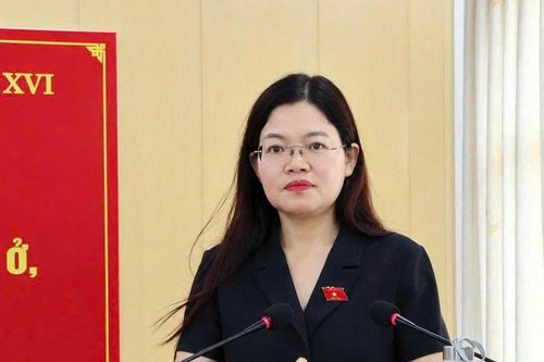 Chuẩn bị kỹ lưỡng, đưa tiếng nói cử tri đến nghị trường