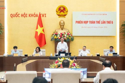 Ưu đãi thuế phải đúng đối tượng, khơi thông nguồn lực phát triển
