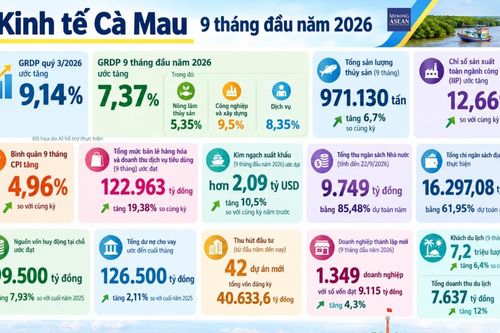 Kinh tế Cà Mau 9 tháng: Xuất khẩu hơn 2 tỷ USD, có 42 dự án đầu tư mới