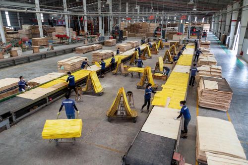 Đánh thức thị trường gỗ nội địa từ những chuẩn mực mới