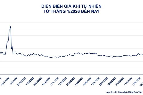 Thị trường hàng hóa: Vụ mùa Mỹ dồi dào tạo lực kéo trái chiều