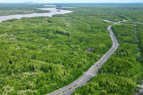 TP Hồ Chí Minh: Giành lại bầu không khí sạch từ những điểm nóng ô nhiễm