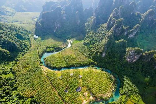 Đẩy mạnh chuyển đổi số trong phát triển văn hoá, thể thao và du lịch