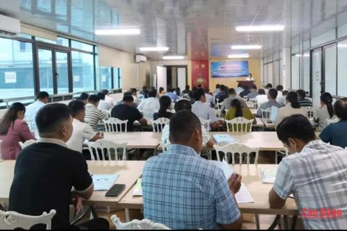 Bồi dưỡng kỹ năng số cho 70 thành viên tổ chuyển đổi số cộng đồng xã Kim Đồng